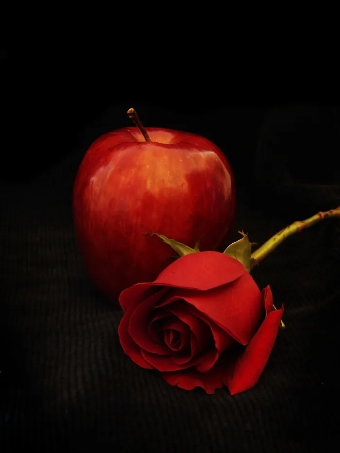 苹果，红色，罗莎，红玫瑰，性质，花瓣，美容