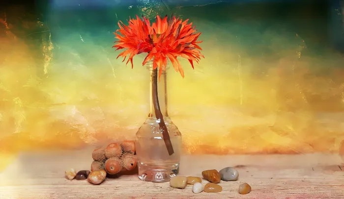 花，Dekoblume，石头，花瓶，装饰玻璃