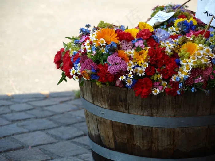 夏季花卉，鲜花，多彩，桶