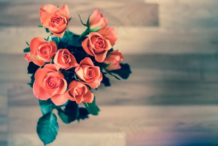 玫瑰,玫瑰花,粉色玫瑰,玫瑰图案,仿真花卉,束在木地板上的红玫瑰