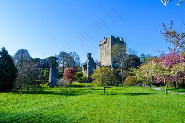 城堡，布拉尼，爱尔兰，石头，爱尔兰，体系结构