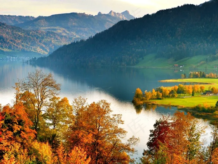 湖泊，风景，秋季，瑞士，Ägerital
