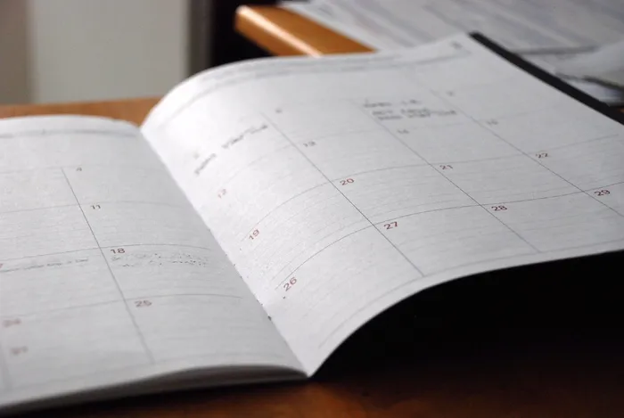 日程安排者，日历，组织者，时间表，每月