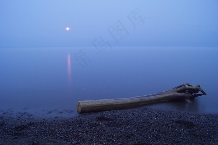 树干 海岸 海滩 浮木 满月 夜 海洋 菜鸟图库
