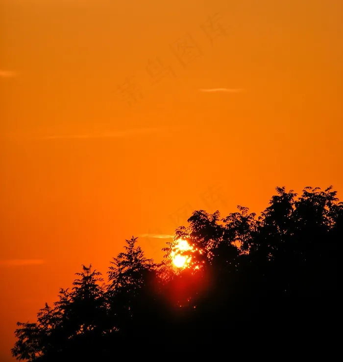 日落，黄昏，天空，天S，云，颜色，橙色