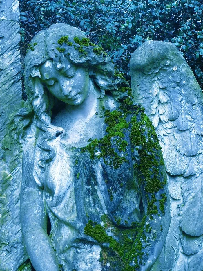 天使，雕塑，希望，翼，坟墓，沉默，公园