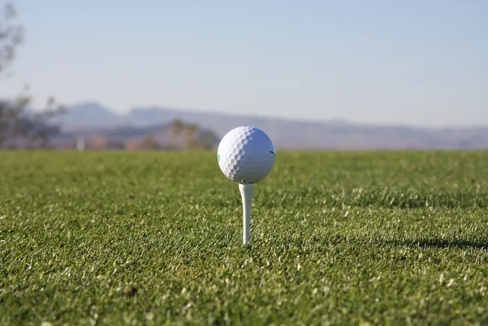 高尔夫球,高尔夫球钉,高尔夫球运动,高尔夫设备,树,三通在草丛中的高尔夫球