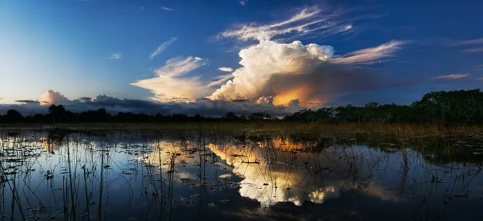 暴风雨的乌云，大沼泽地，沼泽，沼泽，景观