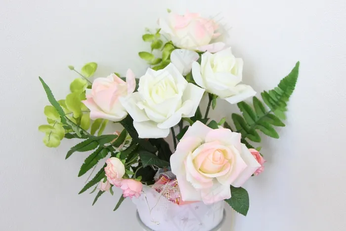 玫瑰，蔷薇科，粉红，白