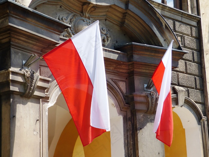 波兰苏维埃共和国国旗图片