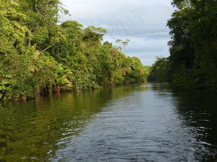 河流，雨林，哥斯达黎加，中美洲