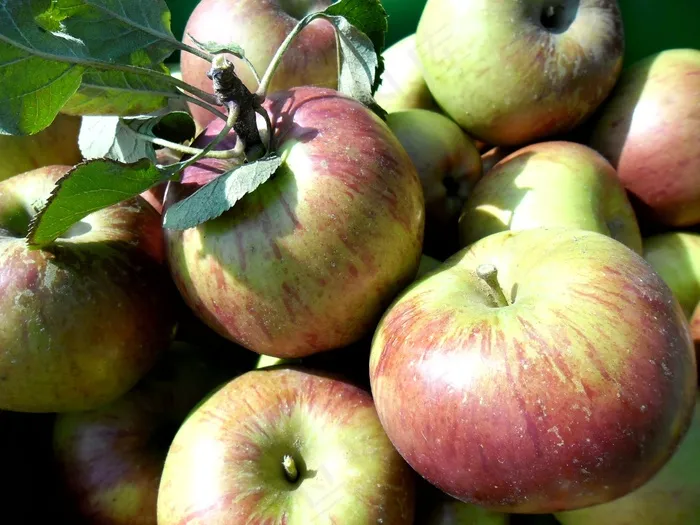 苹果，苹果，秋天，花园，自然，水果，红苹果