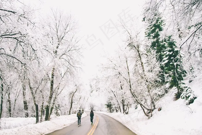冰雪,树挂,钢笔画,工笔画,树,冬天在森林之中的道路上行走的朋友