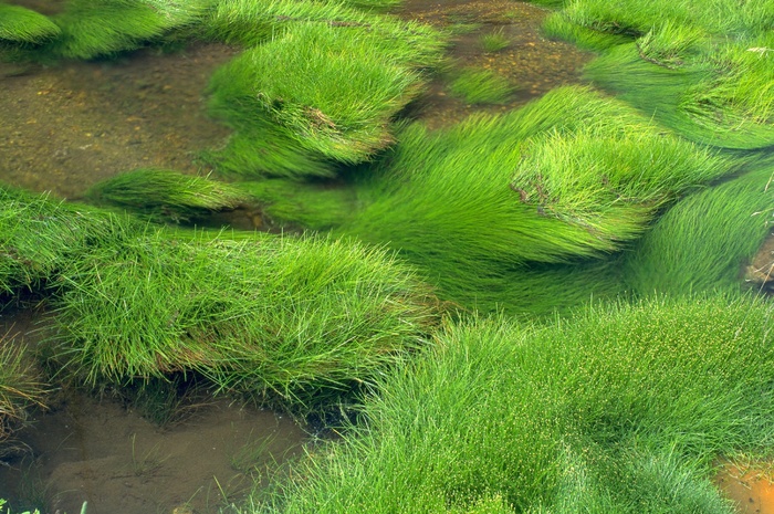 草河流绿色景观水生态自然