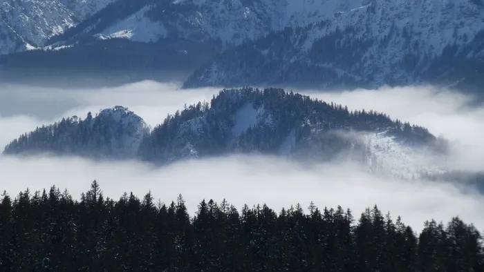 阿尔高，雾，全景