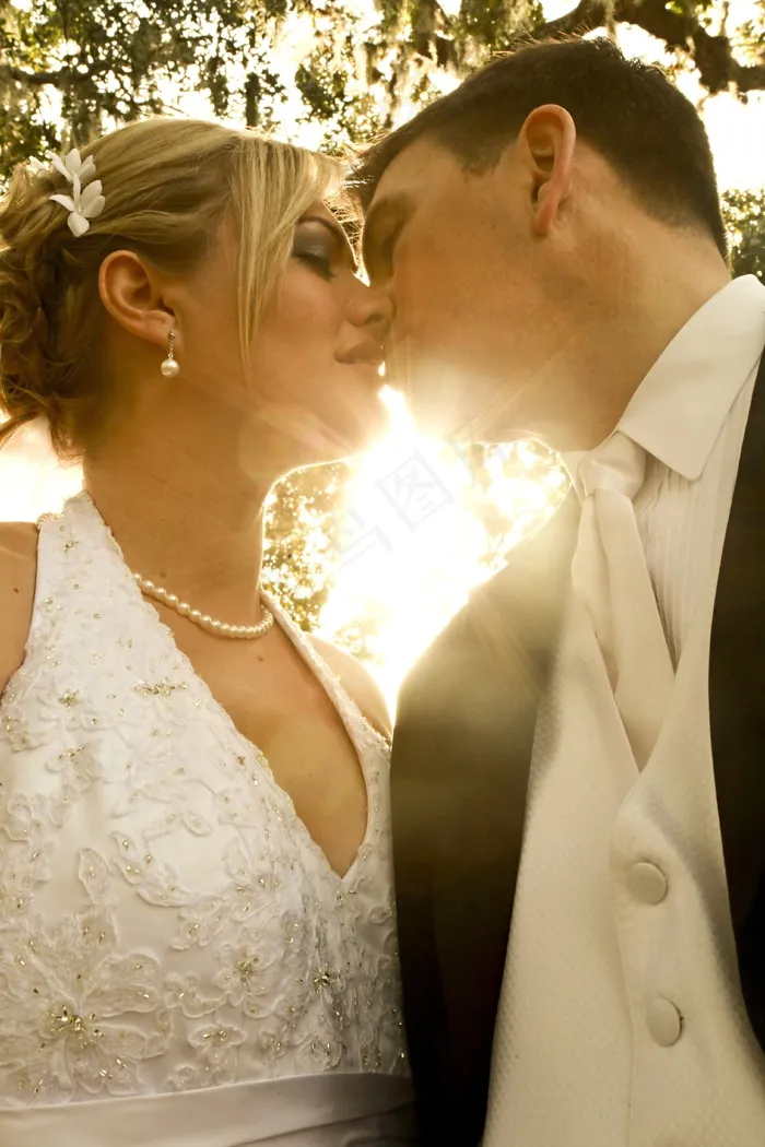 美女,屏幕截图,合照,亲吻,婚礼,新郎和新娘接吻在树下