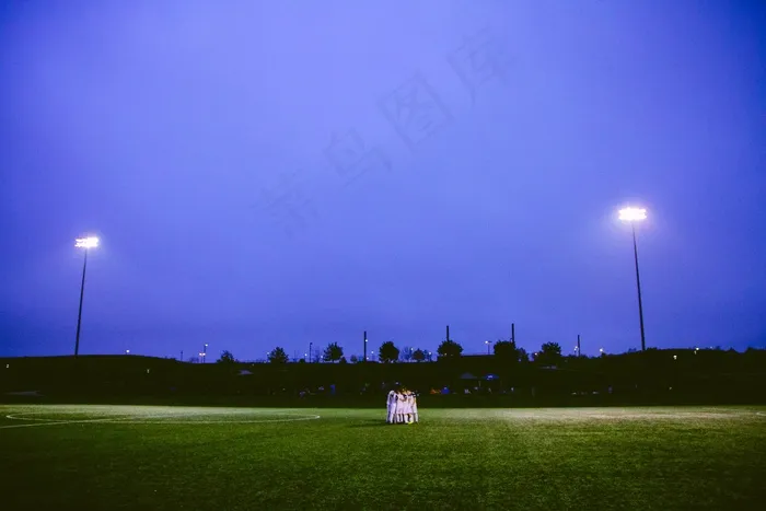 天空,灯,草原,树,体育场馆,晚上在球场上的足球队