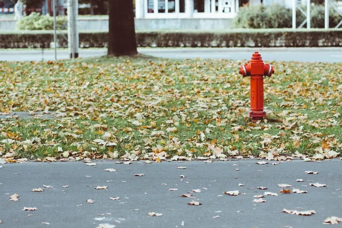 消防栓，叶子，草，沥青，户外，秋天