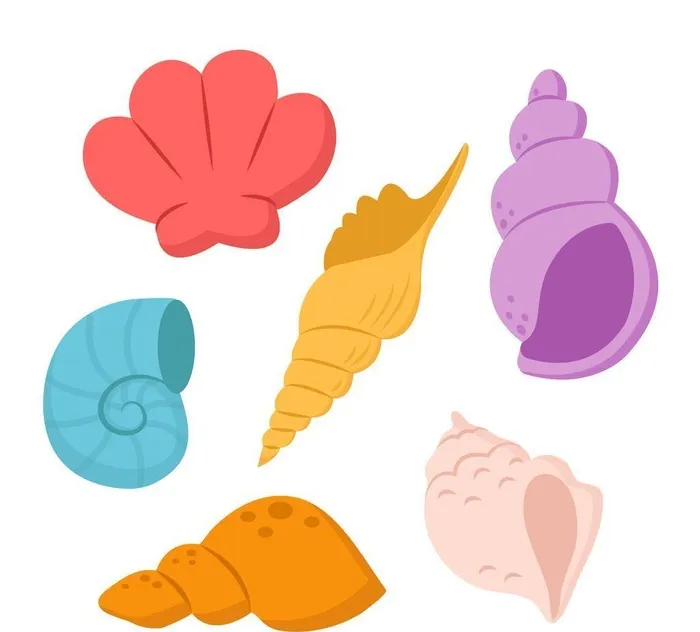 海螺贝壳插画图片