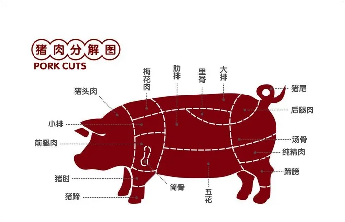 猪肉分割图 图片