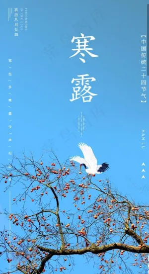 寒露海报图片