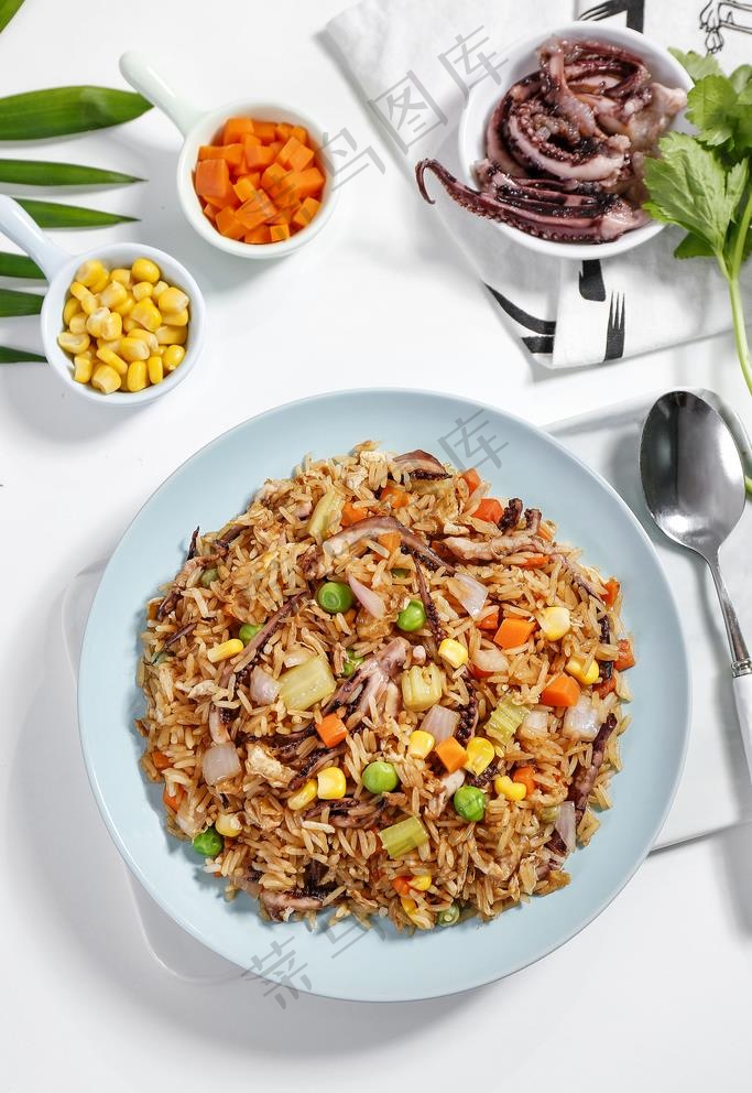 本素材作品名称为鱿鱼炒饭图片,素材编号是2202342, 是一张格式为