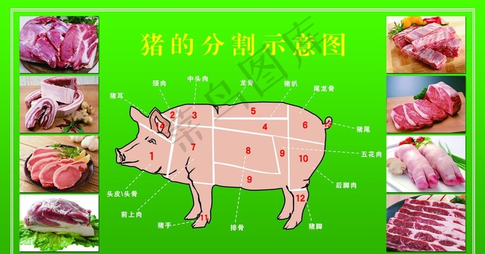 猪肉六分体分割图图片
