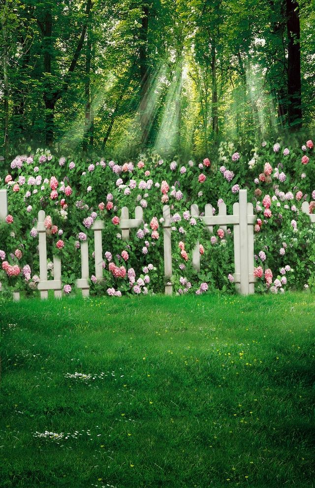 花园森林组合背景图图片