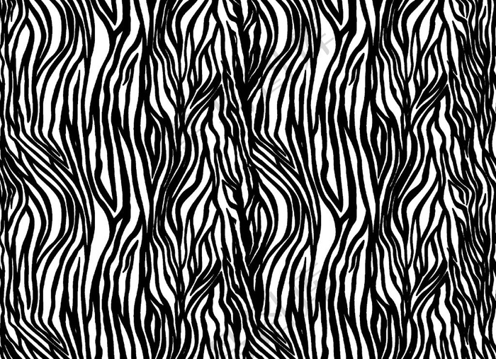 斑马纹图片 菜鸟图库提供高质量设计素材下载, 本素材作品名称为斑马